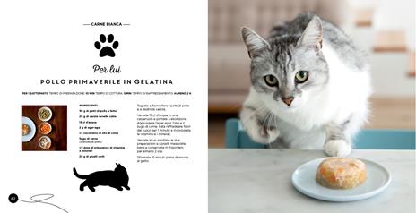 Ricette per il mio gatto... e per me! - Véronique Aïache,Laura Zuili - 6