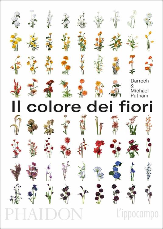 Il colore dei fiori - Michael Putnam,Taylor Putnam - copertina
