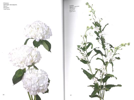 Il colore dei fiori - Michael Putnam - Taylor Putnam - - Libro -  L'Ippocampo - | IBS