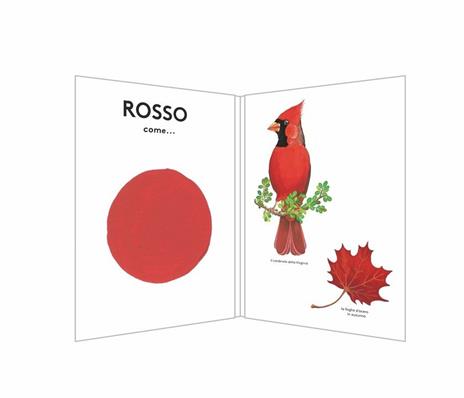 Rosso come.... Ediz. illustrata - Pascale Estellon - 2