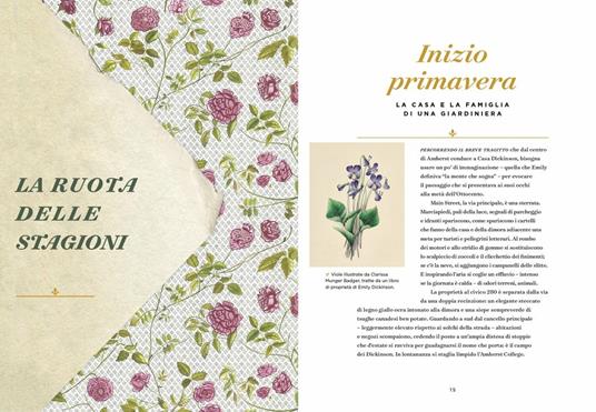 Emily Dickinson e i suoi giardini. Le piante e i luoghi che hanno ispirato l'iconica poetessa - Marta McDowell - 2