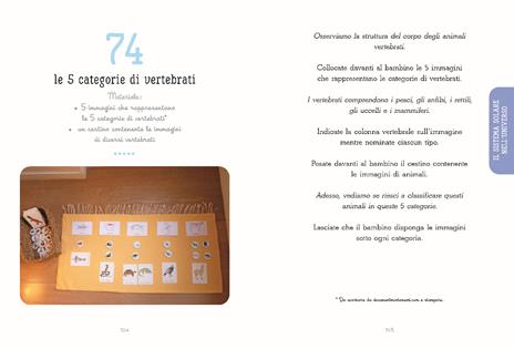 La guida di attività Montessori 6-12 anni. Dalla creazione dell'Universo alla vita sulla Terra - Marie-Hélène Place - 6