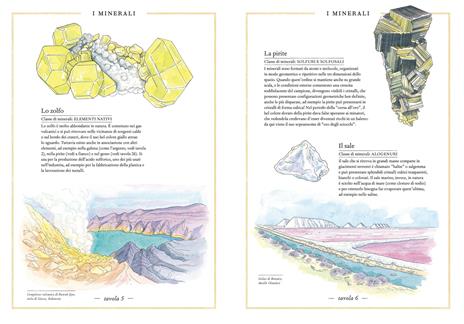 Inventario illustrato dei minerali. Ediz. a colori - Emmanuelle Tchoukriel,Virginie Aladjidi - 2