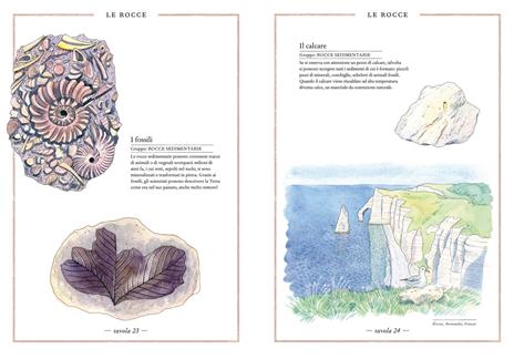 Inventario illustrato dei minerali. Ediz. a colori - Emmanuelle Tchoukriel,Virginie Aladjidi - 4