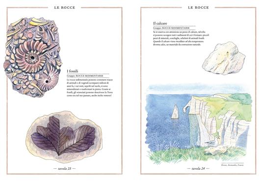 Inventario illustrato dei minerali. Ediz. a colori - Emmanuelle Tchoukriel,Virginie Aladjidi - 4