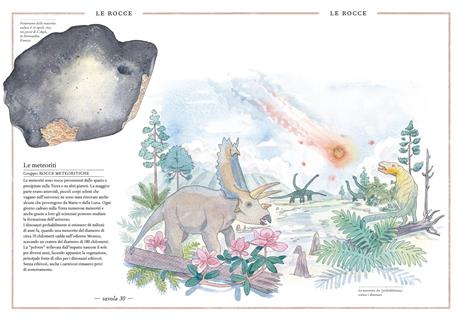 Inventario illustrato dei minerali. Ediz. a colori - Emmanuelle Tchoukriel,Virginie Aladjidi - 5