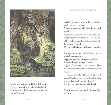 Racconti dei saggi d'Amazzonia - Pierre-Olivier Bannwarth - 5