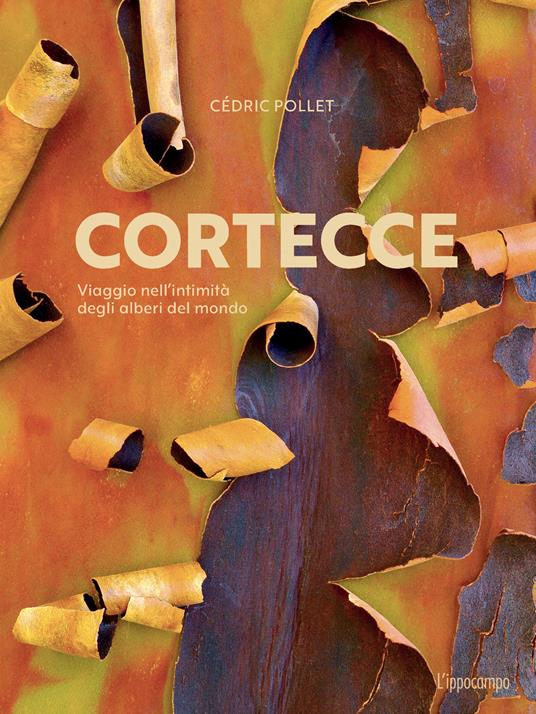 Cortecce. Viaggio nell'intimità degli alberi del mondo - Cédric Pollet - copertina