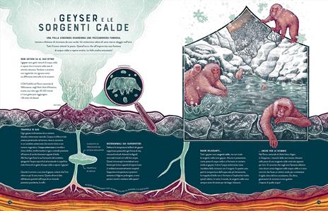 Fragori. Le meraviglie dei fenomeni terrestri - Jennifer Smith - 4