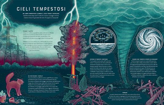 Fragori. Le meraviglie dei fenomeni terrestri - Jennifer Smith - 5