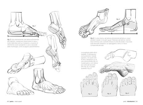 Anatomia artistica. Vol. 4: Forme articolari e funzioni muscolari. Il corpo dei bodybuilder - Michel Lauricella - 3