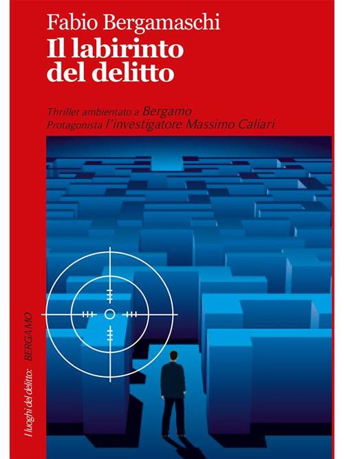 Il labirinto del delitto - Fabio Bergamaschi - ebook