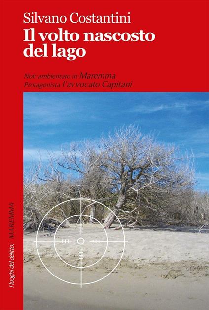 Il volto nascosto del lago - Silvano Costantini - copertina