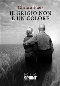 Il grigio non è un colore - Chiara Faes - ebook