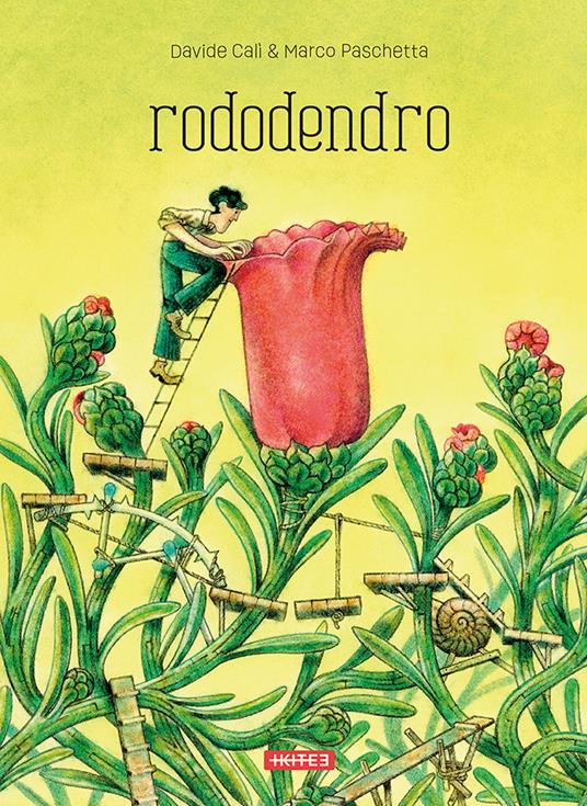 Rododendro. Ediz. illustrata - Davide Calì,Marco Paschetta - copertina