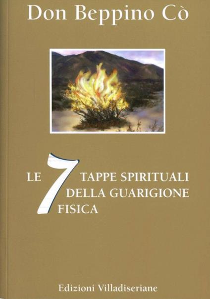 Le 7 tappe spirituali della guarigione fisica - Beppino Co - copertina