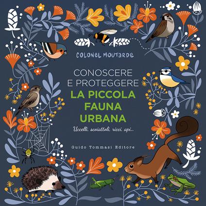 Conoscere e proteggere la piccola fauna urbana. Uccelli, scoiattoli, ricci, api... - Colonel Moutarde - copertina