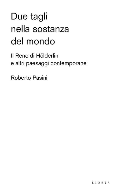 Due tagli nella sostanza del mondo. Il Reno di Hölderlin e altri paesaggi contemporanei - Roberto Pasini - copertina