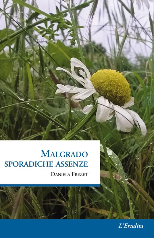 Malgrado sporadiche assenze - Daniela Frezet - copertina