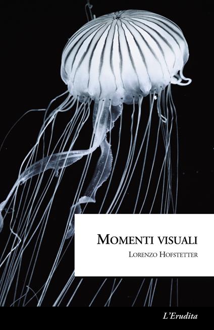 Momenti visuali - Lorenzo Hofstetter - copertina