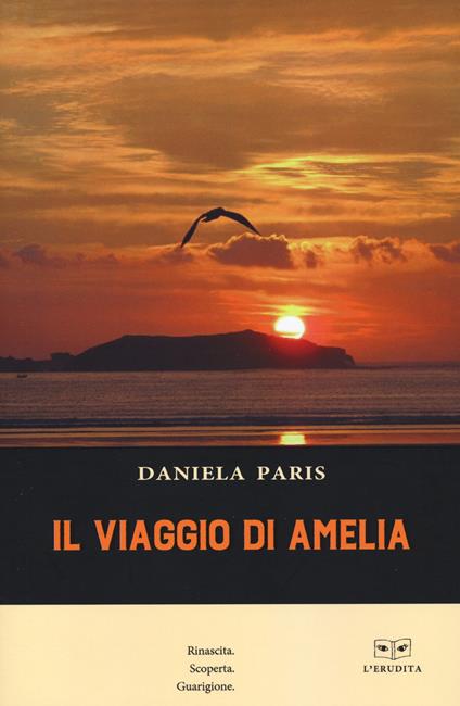 Il viaggio di Amelia - Daniela Paris - copertina