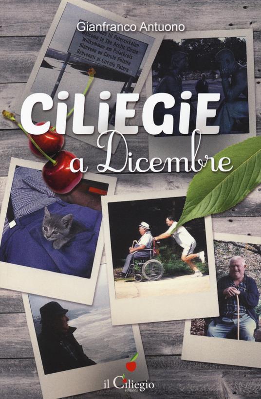 Ciliegie a dicembre - Gianfranco Antuono - copertina
