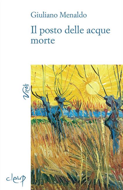 Il posto delle acque morte - Giuliano Menaldo - copertina