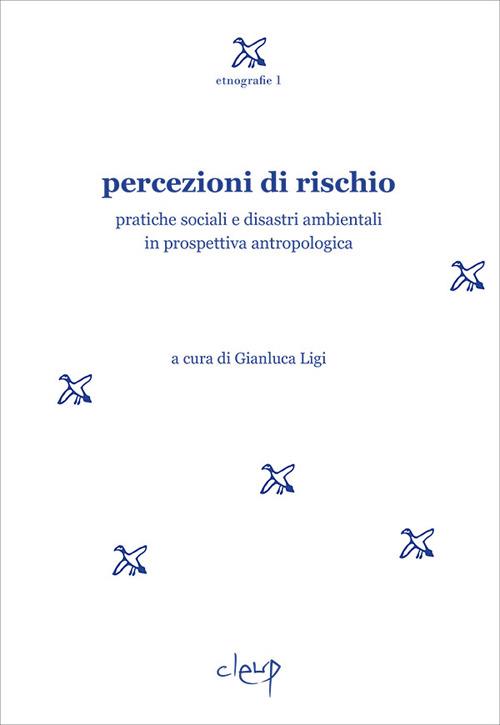 Percezioni di rischio. Pratiche sociali e disastri ambientali in prospettiva antropologica - copertina