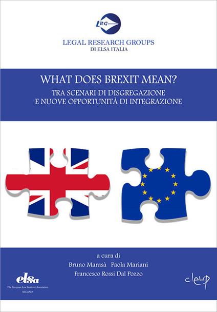 What does Brexit mean? Tra scenari di disgregazione e nuove opportunità di integrazione - copertina