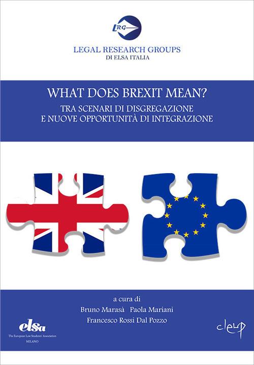 What does Brexit mean? Tra scenari di disgregazione e nuove opportunità di integrazione - copertina