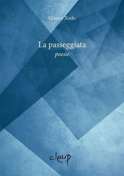 La passeggiata - Gianni Xodo - ebook