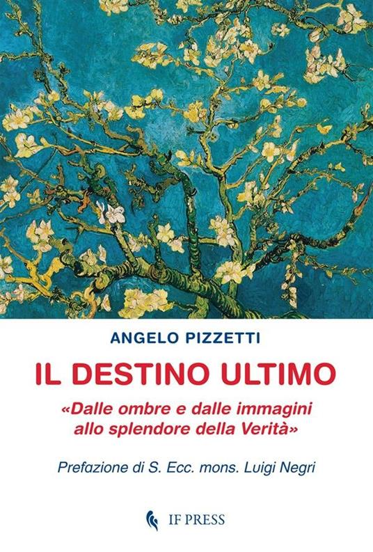 Il destino ultimo. Dalle ombre e dalle immagini allo splendore della verità - Angelo Pizzetti - ebook