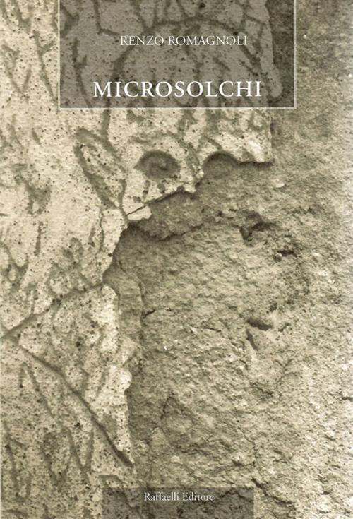 Microsolchi - Renzo Romagnoli - copertina