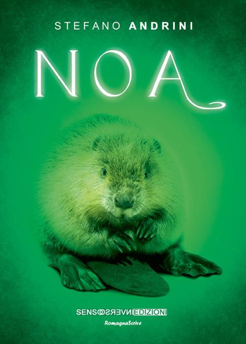 Noa - Stefano Andrini - copertina