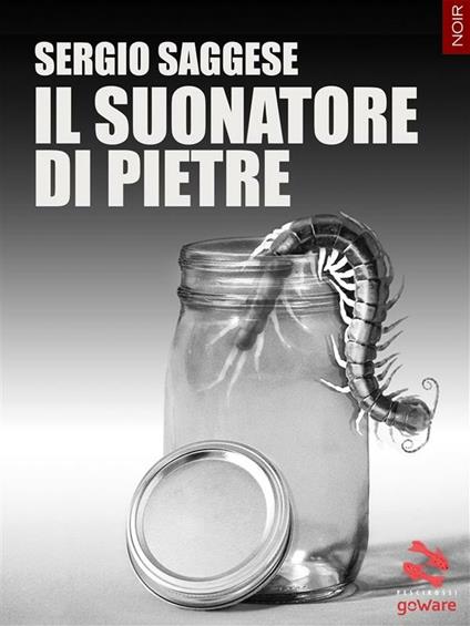 Il suonatore di pietre - Sergio Saggese - ebook