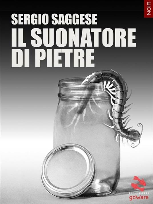 Il suonatore di pietre - Sergio Saggese - ebook