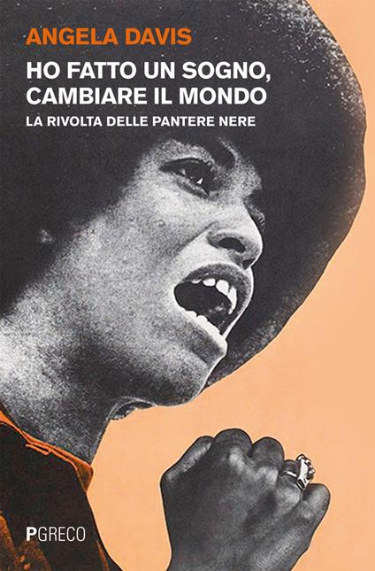 Ho fatto un sogno, cambiare il mondo. La rivolta delle Pantere nere - Angela Davis - ebook