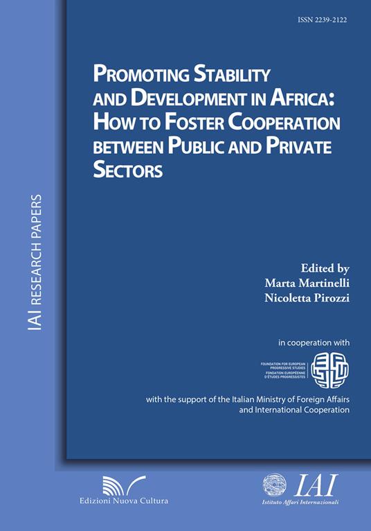 Promoting stability and development in Africa. How to foster cooperation between public and private sectors - copertina