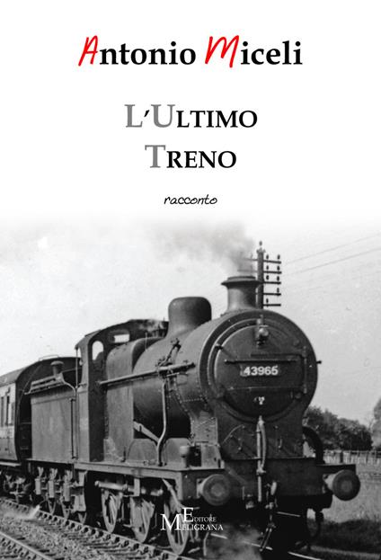 L' ultimo treno - Antonio Miceli - copertina