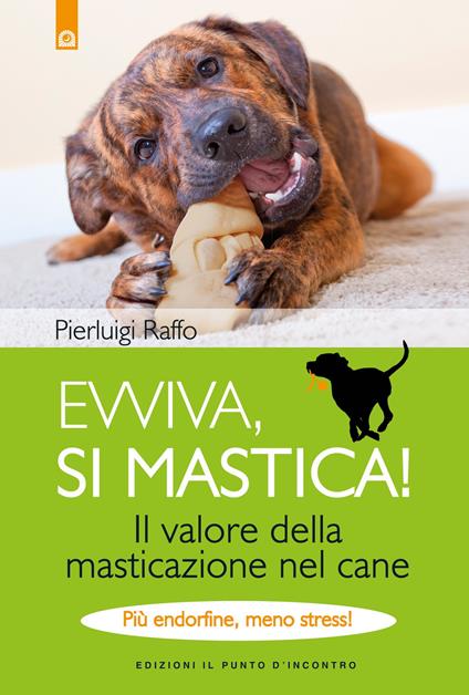 Evviva, si mastica! Il valore della masticazione nel cane. Più endorfine, meno stress! Ediz. illustrata - Pierluigi Raffo - copertina