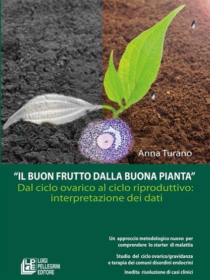 Il buon frutto dalla buona pianta. Dal ciclo ovarico al ciclo riproduttivo. Interpretazione dei dati - Anna Turano - ebook