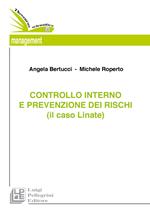 Il controllo interno e la prevenzione dei rischi (il caso Linate)