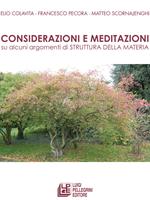 Considerazioni e meditazioni su alcuni argomenti di struttura della materia