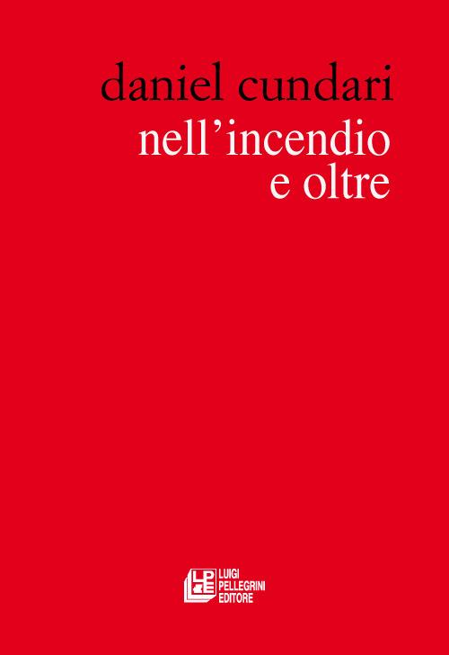 Nell'incendio e oltre - Daniel Cundari - copertina