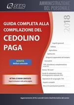 Guida completa alla compilazione del cedolino paga. Con ebook