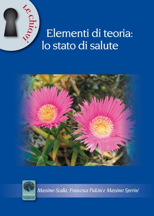 Elementi di teoria. Lo stato di salute - Massimo Scalia,Francesca Pulcini,Massimo Sperini - copertina