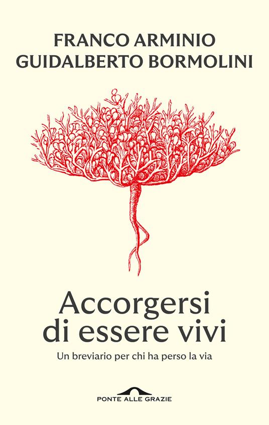 Accorgersi di essere vivi. Un breviario per chi ha perso la via - Franco Arminio,Guidalberto Bormolini - copertina