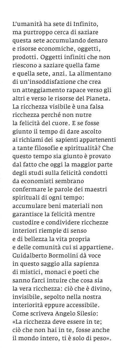 La vera ricchezza. Lezioni di economia e spiritualità - Guidalberto Bormolini - 2