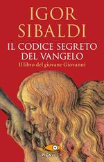 Il codice segreto del Vangelo. Il libro del giovane Giovanni