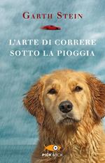 L' arte di correre sotto la pioggia